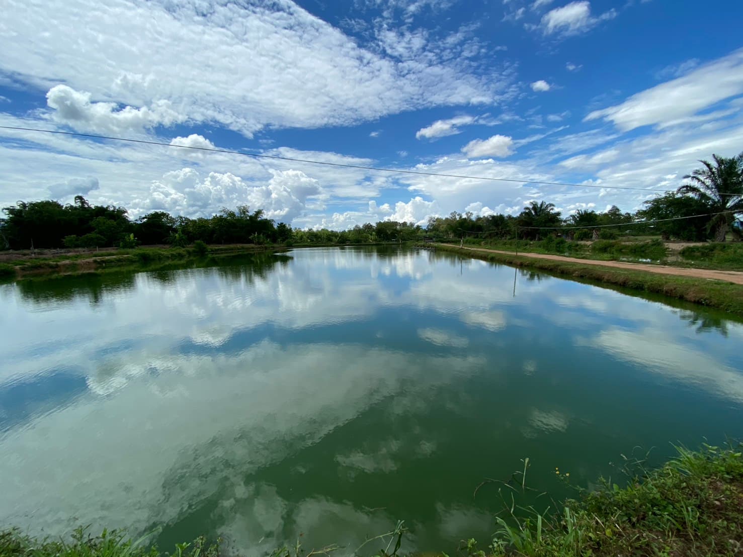 Environmental Solutions