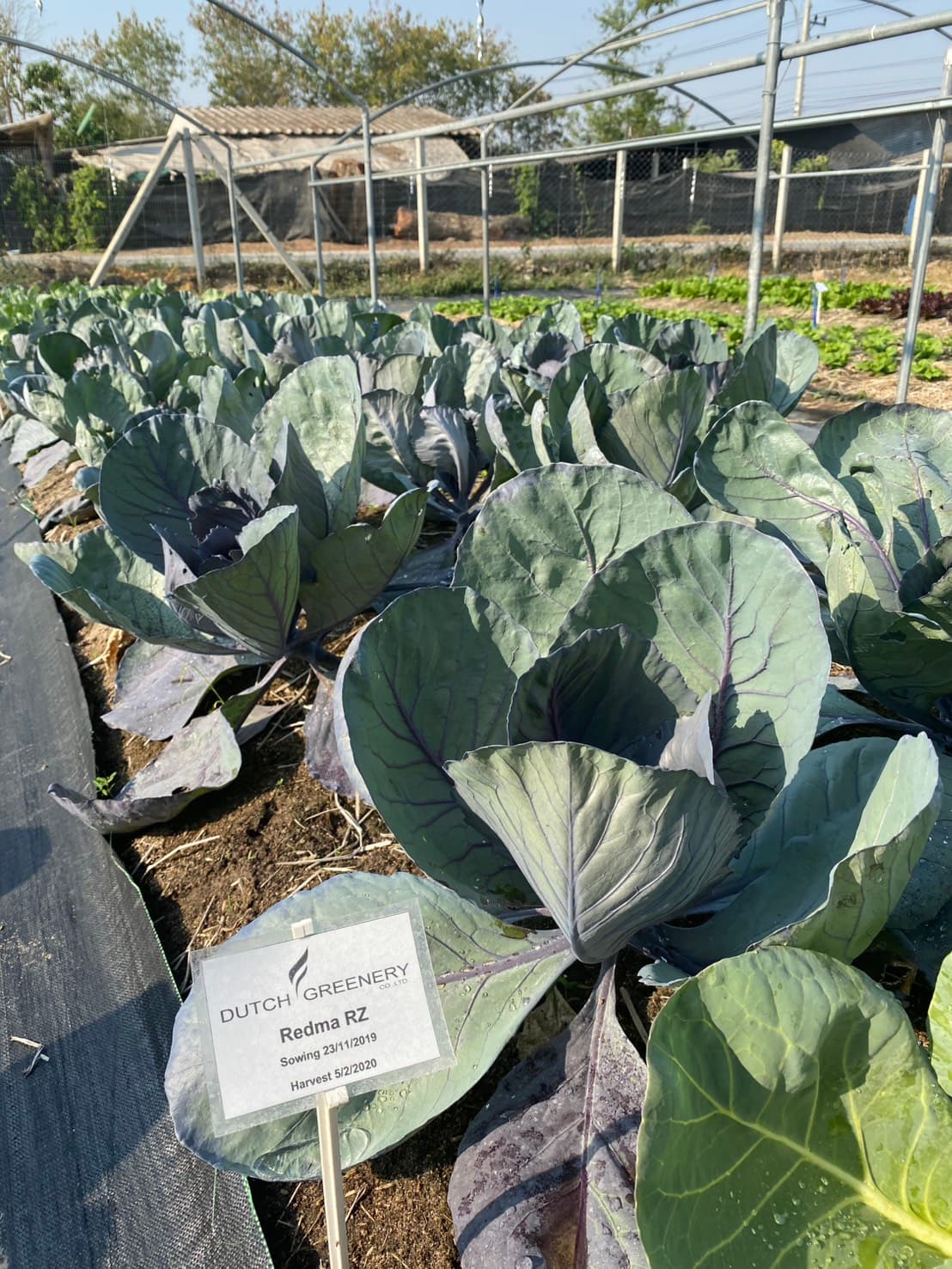 Plant and Soil Solutions